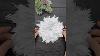 Christmas Decor World Blog Archiv Member's Mark 8 Ft Pre-lit Christmas Arch With Prismatic Snowflakes